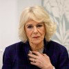 camilla