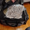 zasegi, droga, denar, tujina