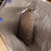 hišne-preiskave, droga, zasegi