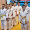 judo, pokal, guštanj