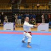 _zzzzzzkarate__01_.jpg