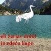 _zzzzzzzerjav.jpg