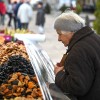 pomladni-sejem-murska-sobota