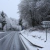 img_0029_000.jpg