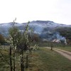 img_0058_000.jpg
