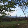 img_0060_000.jpg