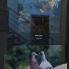 fotografska-razstava, pišk, foto-klub-murska-sobota