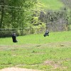 zipline-vinarium, vinarium, lendava, janez-magyar, cene-prevc
