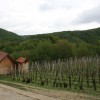 img_0320_000.jpg