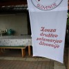 img_0292_000.jpg