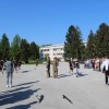 03_tekmovanje_med_stromarji_in_hitrimi.jpg
