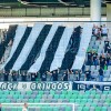 olimpija, mura, stožice