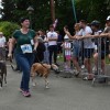 maraton-treh-src, jubilej, otroški-tek, tek-s-psi, koncert, samo-budna