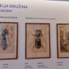 20220513_120501.jpg