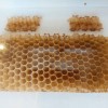 20220513_120631.jpg