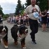 maraton-treh-src, jubilej, otroški-tek, tek-s-psi, koncert, samo-budna
