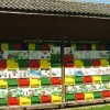 premru_010.jpg