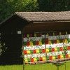 premru_001.jpg