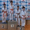 judo, pokal-krškega