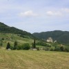 img_0972_000.jpg