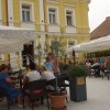 dobrodelni_006.jpg