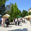 eho-podpornica, evangeličanska-cerkev-murska-sobota, judje, leon-novak, peter-andrejčak