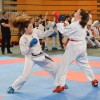 karate, ljutomer