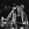 ronnie-van-zant