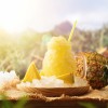 TROPSKI ANANASOV SORBET