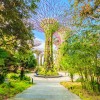p resitve za planet  gardens of th bay.jpg