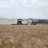 žetev, kombajn, traktor, njive, pšenica, zrna, poljedeljstvo