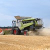 žetev, kombajn, traktor, njive, pšenica, zrna, poljedeljstvo