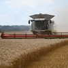 žetev, kombajn, traktor, njive, pšenica, zrna, poljedeljstvo