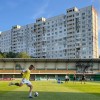 zimbru, mura