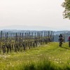 kolesarska pot, slovenska zdravilišča