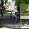 goričko, goričko.-znate-ka?-lejpo-je!, kp-goričko, narava, rastlinstvo, živalstvo