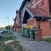 posek, drevesa, gornja radgona