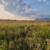 soic, lesnina