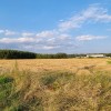 soic, lesnina