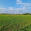 soic, lesnina