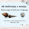 _zsitarjeva.jpg
