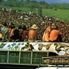 woodstock