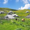 velika-planina-g7609dafe8_1920.jpg