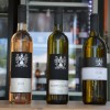 sočna-vilica, slovenska-ulica, festival-ulične-kulinarike