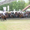 agra, sejem, gornja-radgona