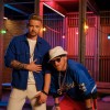 mark-zebra, videospot, bora-bora