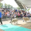 gornja-radgona, sejem-agra-2022