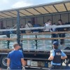 migranti, tovornjak, turnišče