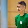 panvita-pomgrad, merkur-maribor, odbojka, pripravljalna-tekma