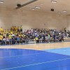 gornja-radgona, rokomet, super-pokal